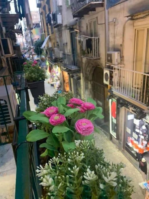 La Casa Di Patta A Spaccanapoli Luaran gambar