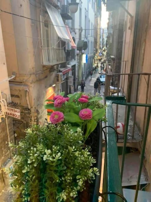 La Casa Di Patta A Spaccanapoli Luaran gambar